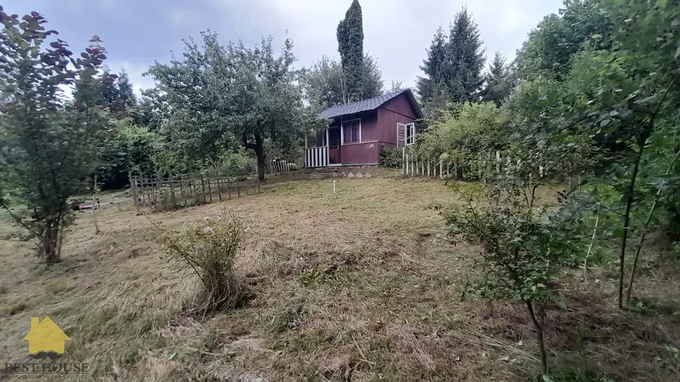 Zdjęcie 3
