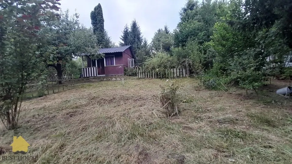 Zdjęcie 4