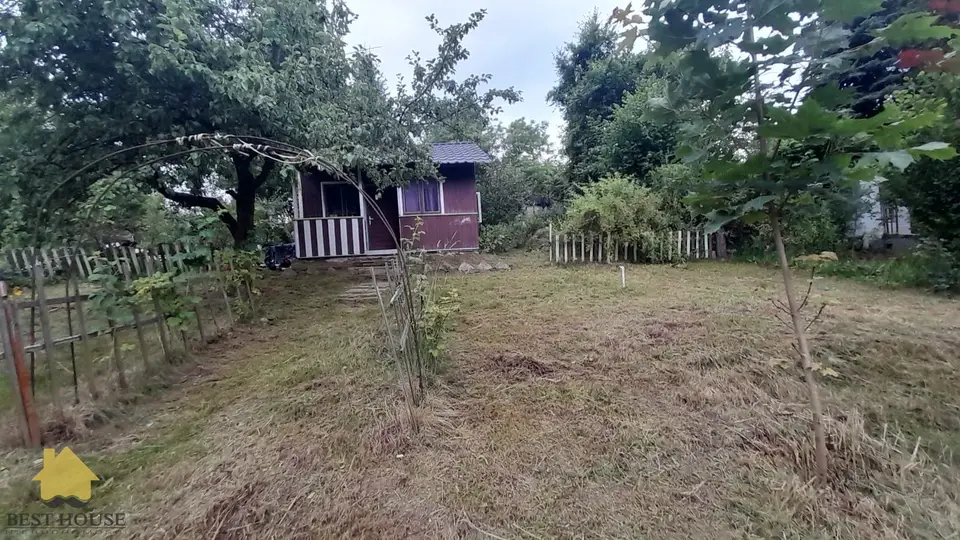 Zdjęcie 5