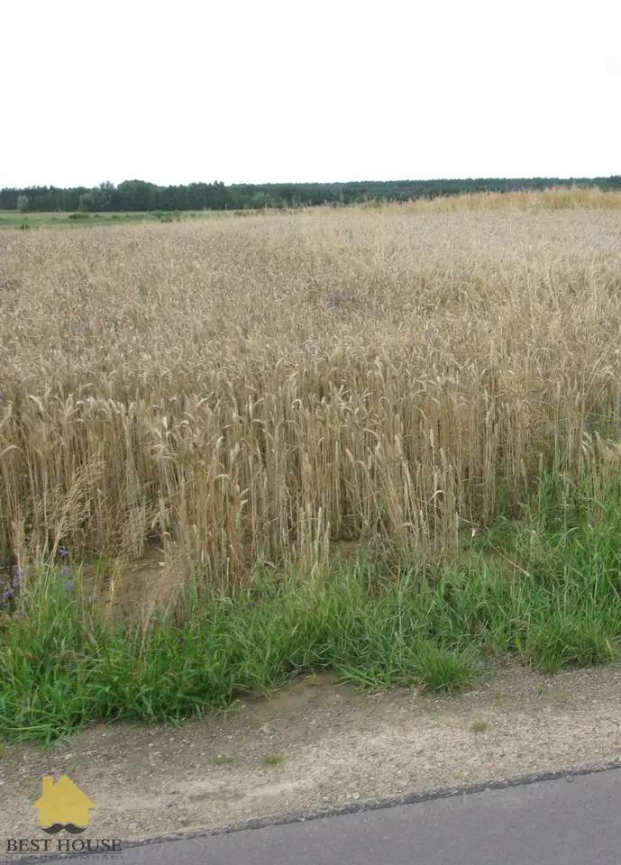 Zdjęcie 3