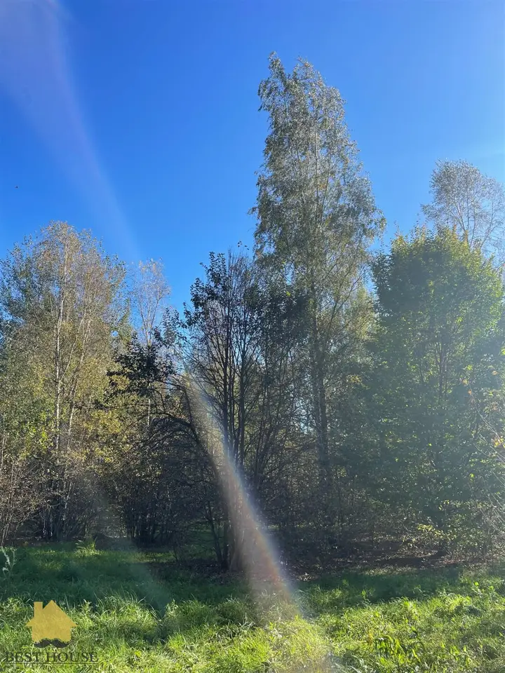 Zdjęcie 4
