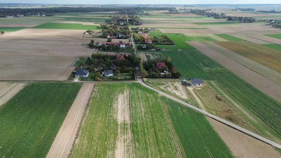 Zdjęcie 10