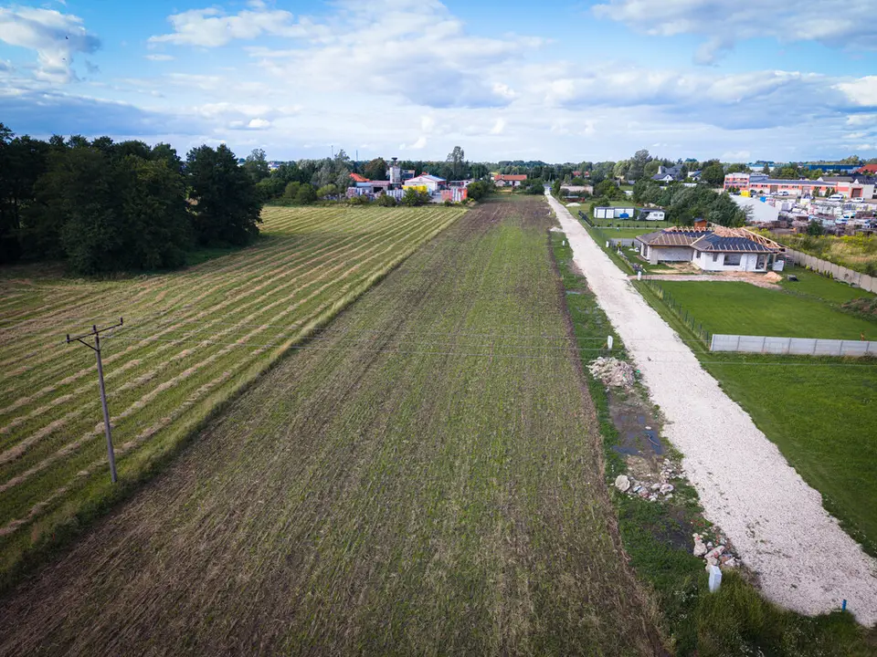 Zdjęcie 11