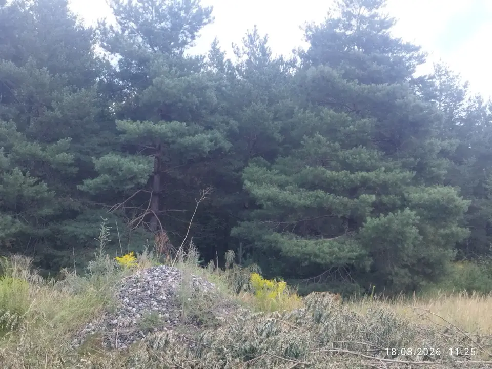 Zdjęcie 8