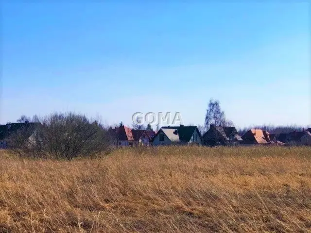 Zdjęcie 2