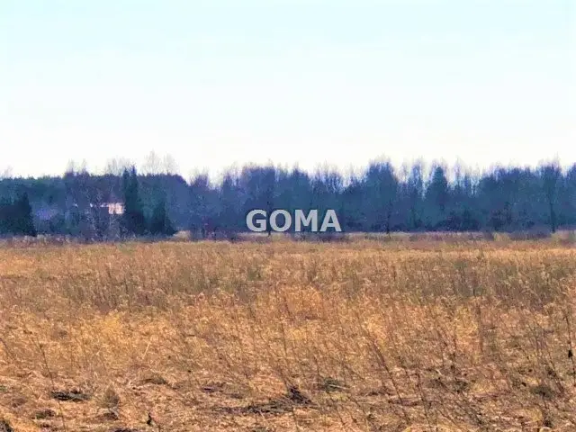 Zdjęcie 3