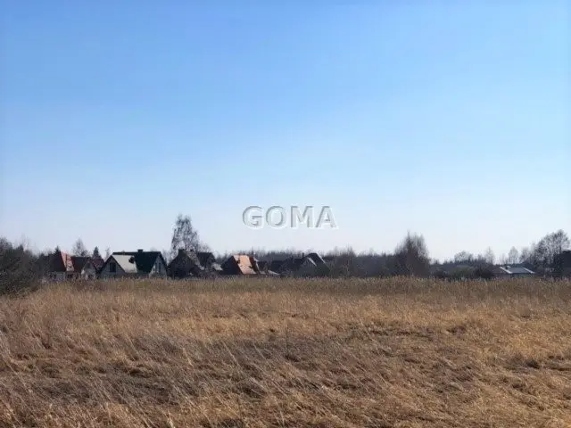 Zdjęcie 6