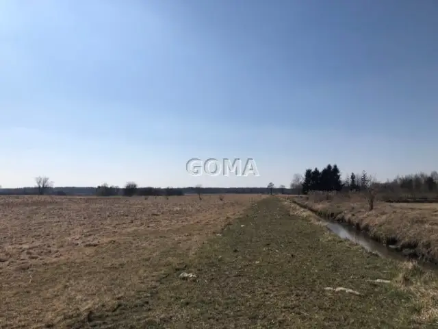 Zdjęcie 8