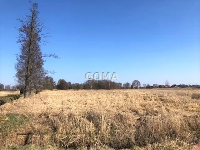 Zdjęcie 9