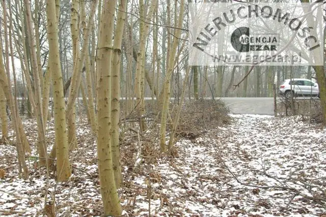 Działka budowlana 1 000 m², Brzeziny