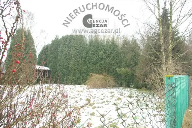 Zdjęcie 4