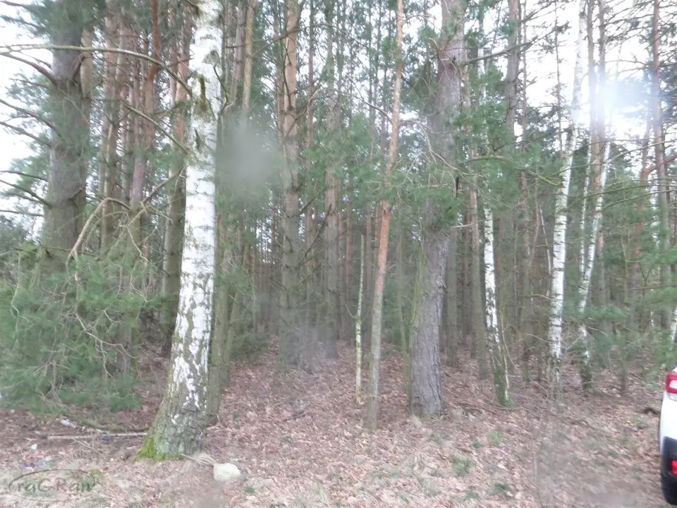 Zdjęcie 5