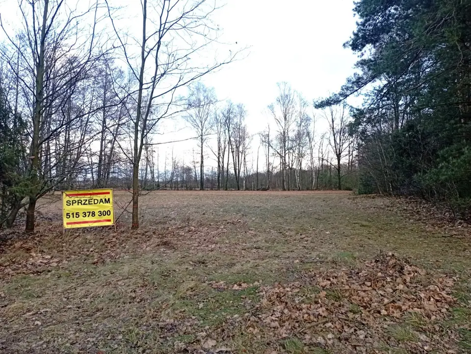 Zdjęcie 7