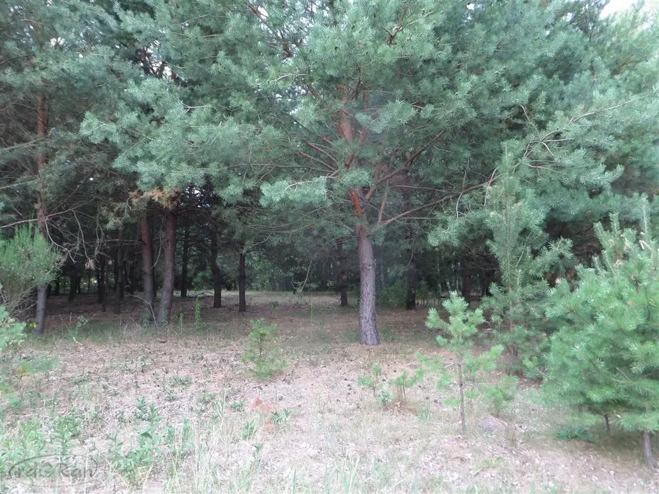 Zdjęcie 2