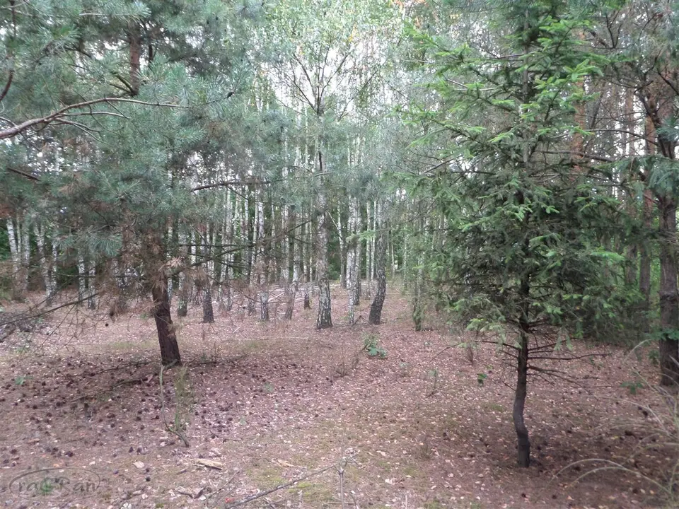 Zdjęcie 3