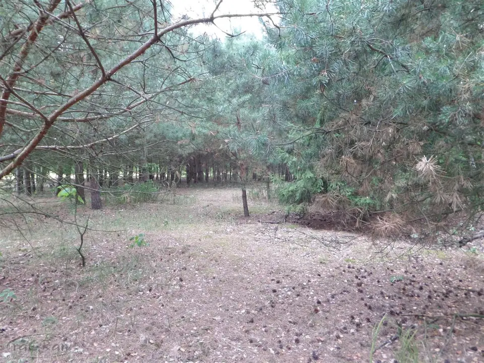 Zdjęcie 5