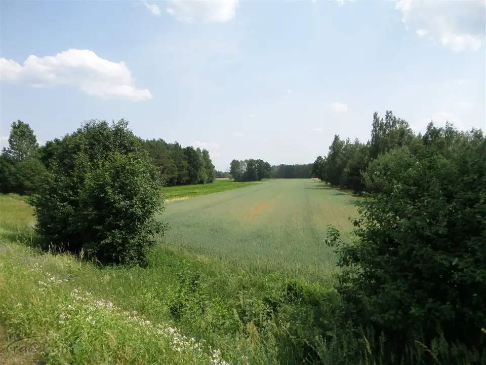 Zdjęcie 8