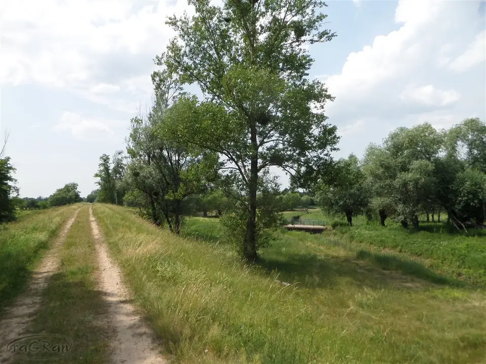 Zdjęcie 9