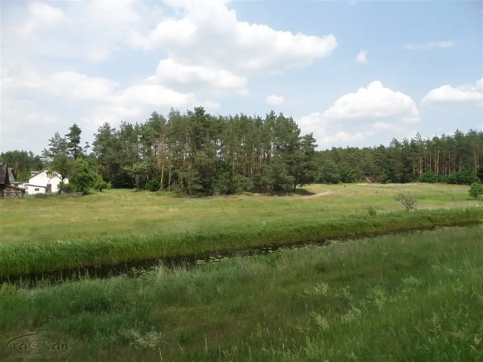 Zdjęcie 10