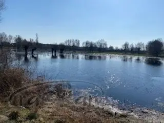 Zdjęcie 11